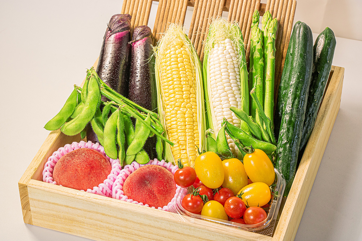 県産旬鮮直野菜セット〔B〕